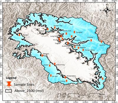 Assessment of livestock carrying capacity in the alpine grasslands of the Kashmir Himalayas